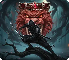 black ninja Game